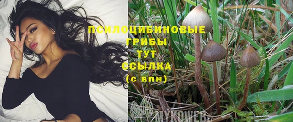 синтетический гашиш Алексеевка