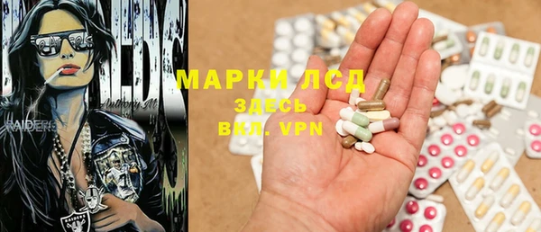 прущие грибы Алексин