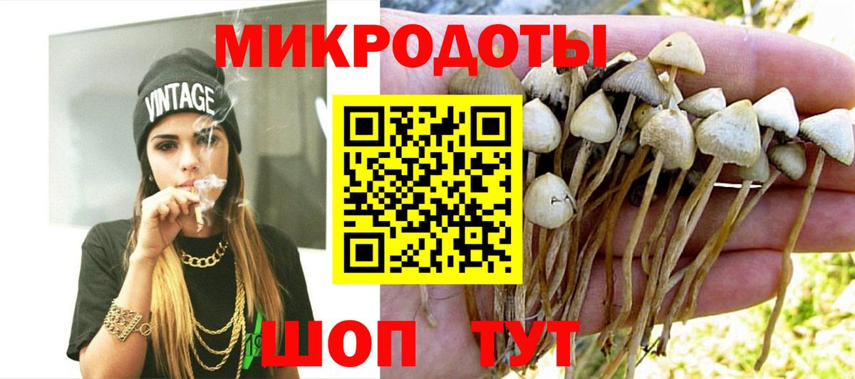 Галлюциногенные грибы MAGIC MUSHROOMS  Вход с VPN  Псилоцибиновые грибы прущие грибы  Похвистнево 