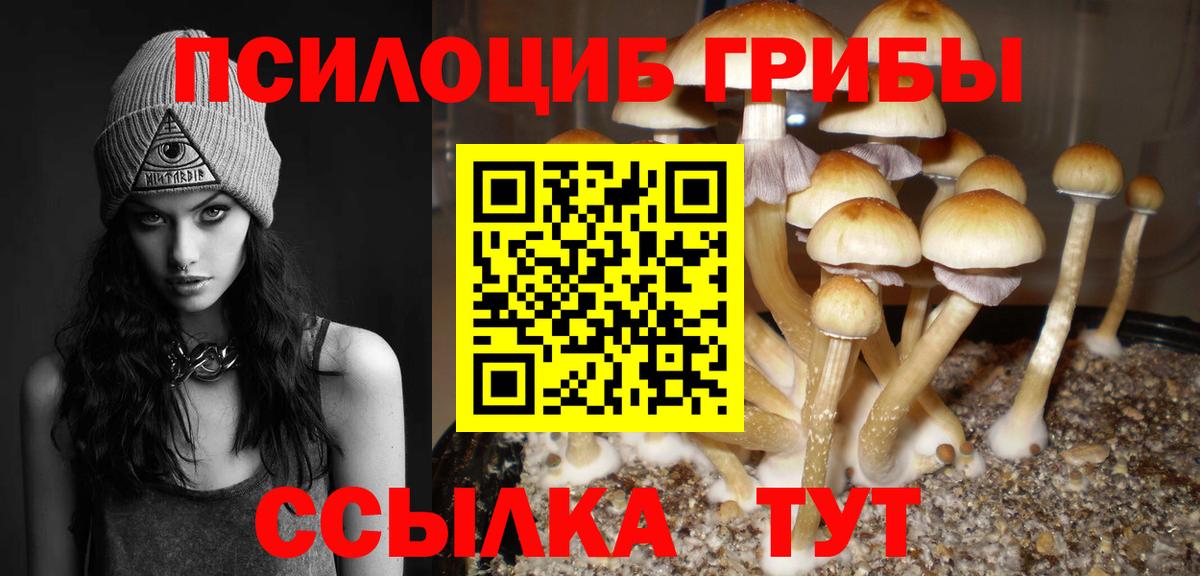 Галлюциногенные грибы Magic Shrooms Похвистнево